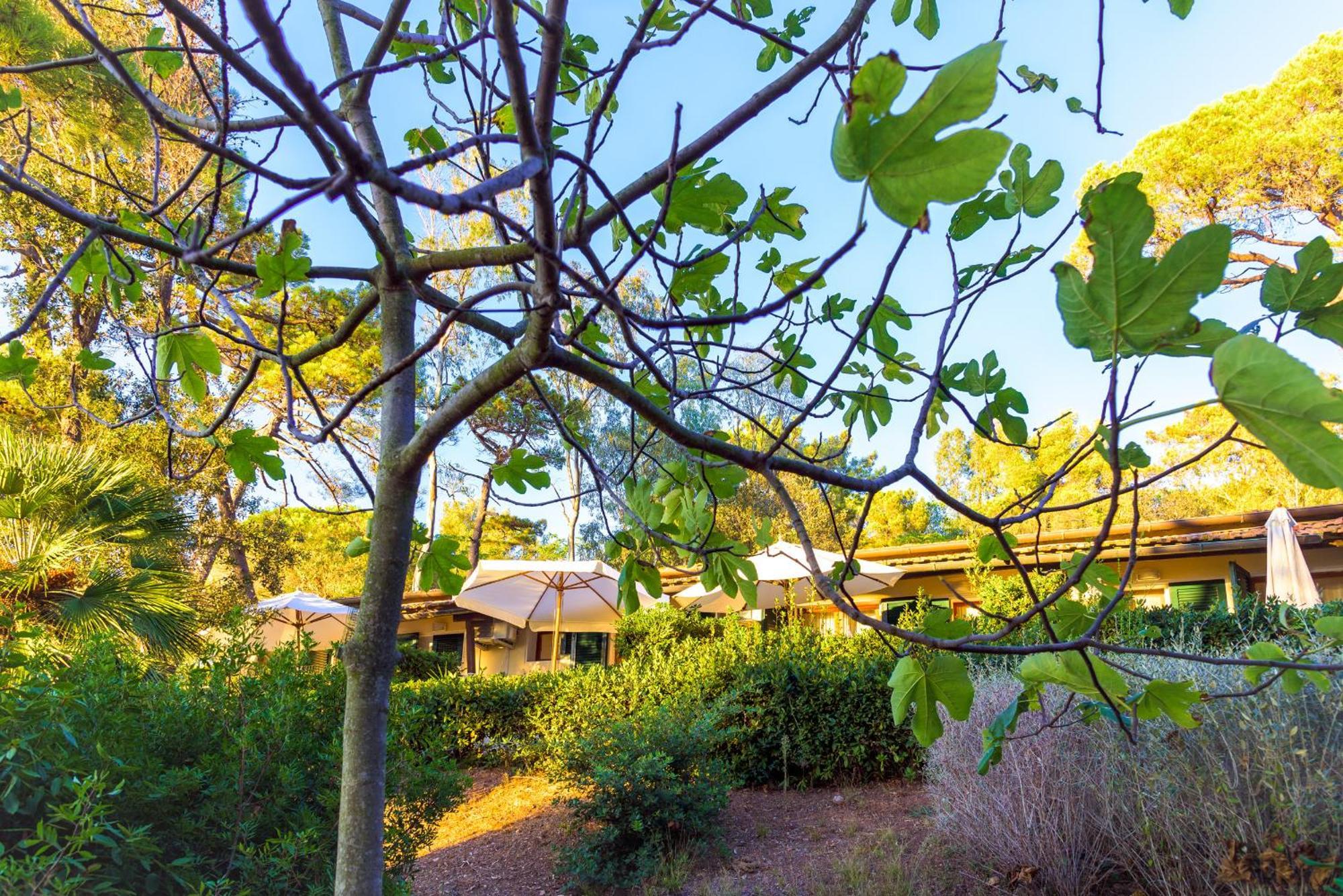Hotel Villa Ottone Портоферрайо Экстерьер фото
